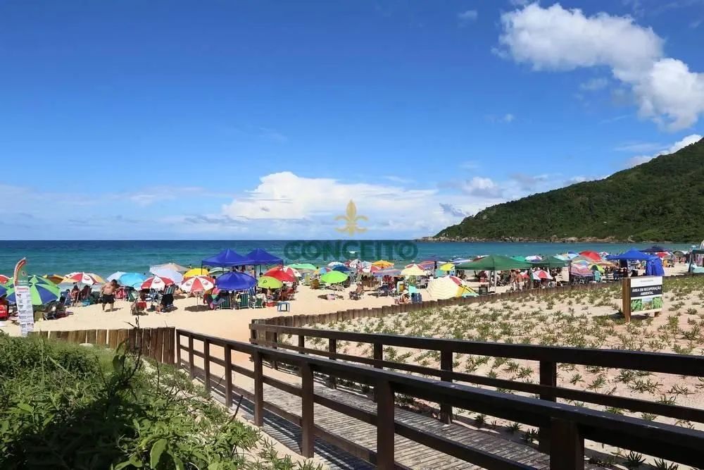 Lote/Terreno, Praia Brava - Florianópolis