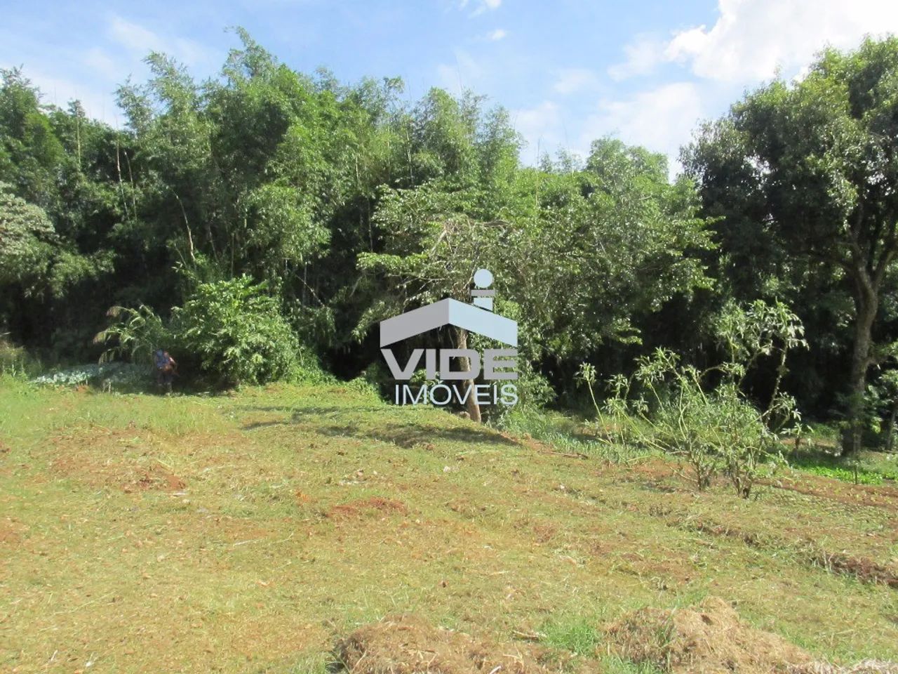 VENDO TERRENO EM CAMPINAS - SOUSAS - Foto 2