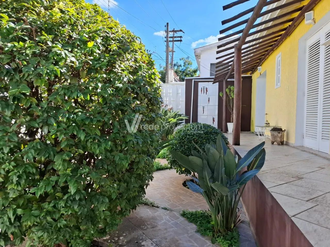 casa - Jardim Proença - Campinas - Foto 2