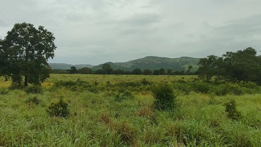 Fazenda 17 alq em Porto Nacional  - Foto 3