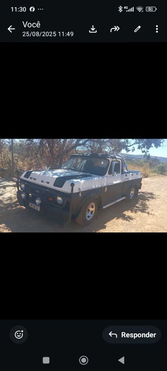 Chevrolet C-10 C-10 2.5/4.1 1976