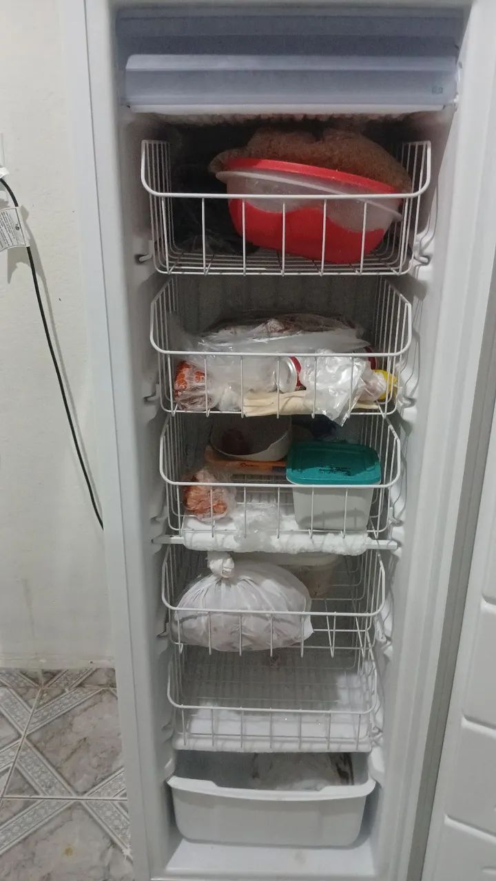 Frizer horizontal  consul - Foto 2