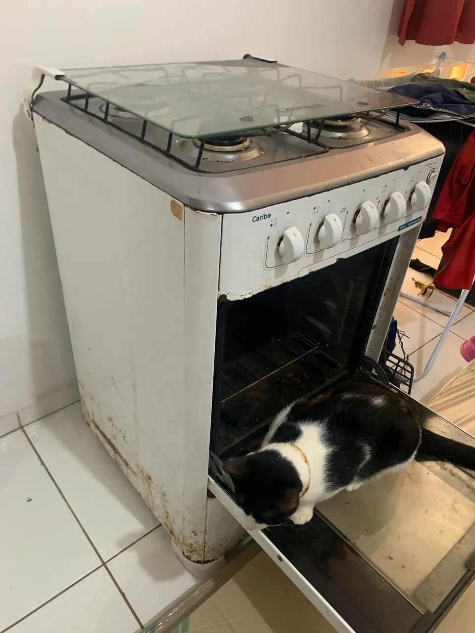 Fogão - Foto 5
