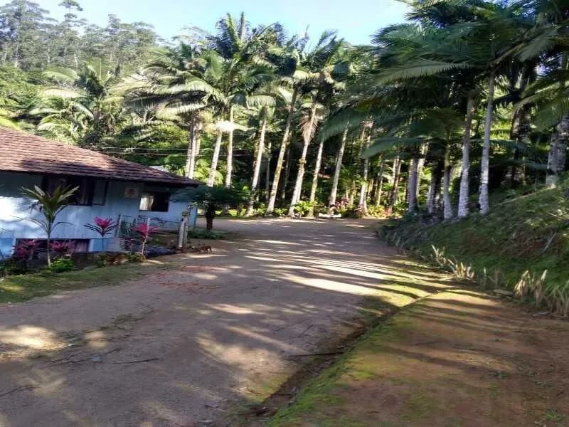 Sítio RODEIO - SC - Foto 3