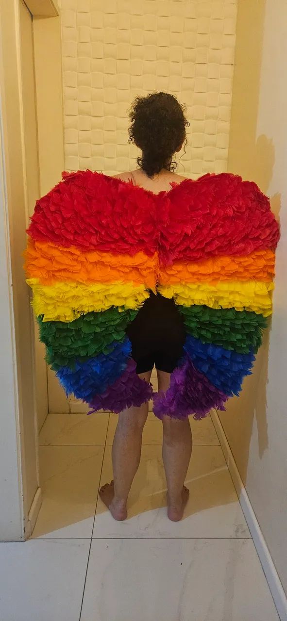 Fantasia: asas arco-íris LGBT