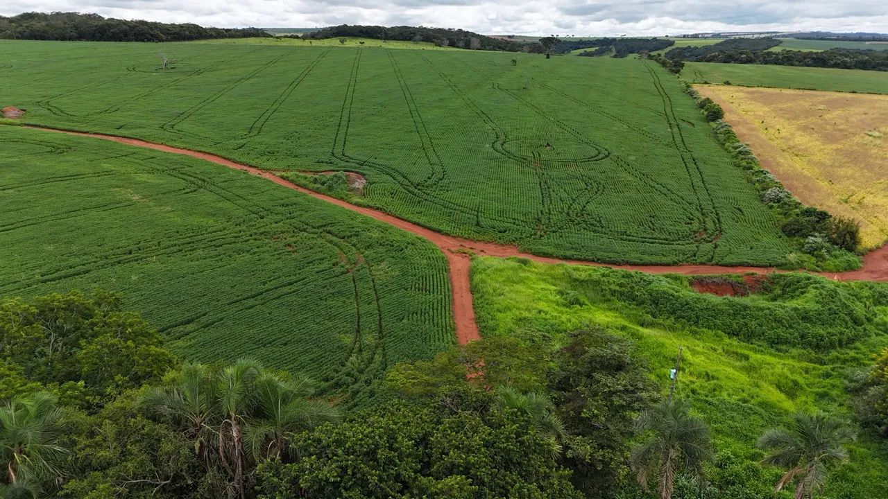 Fazenda de 70 Alqueires  - Foto 2
