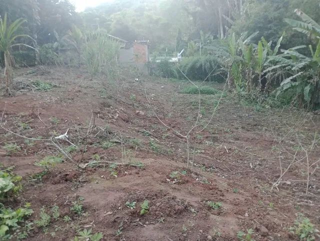terreno para sítio / chácara com 6.590m²
