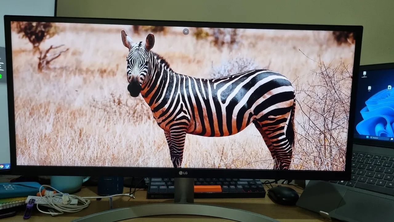 Monitor LG UltraWide 29 polegadas mocelo 29wk600