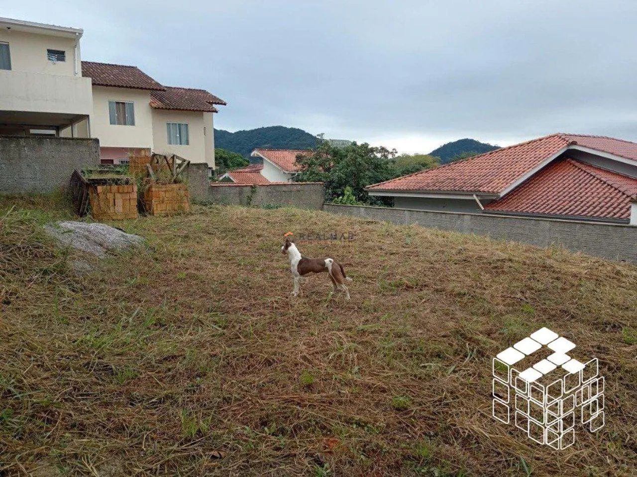TERRENO À VENDA NO BAIRRO REAL PARQUE, SÃO JOSÉ - SC. REF: 1955399 - Foto 3