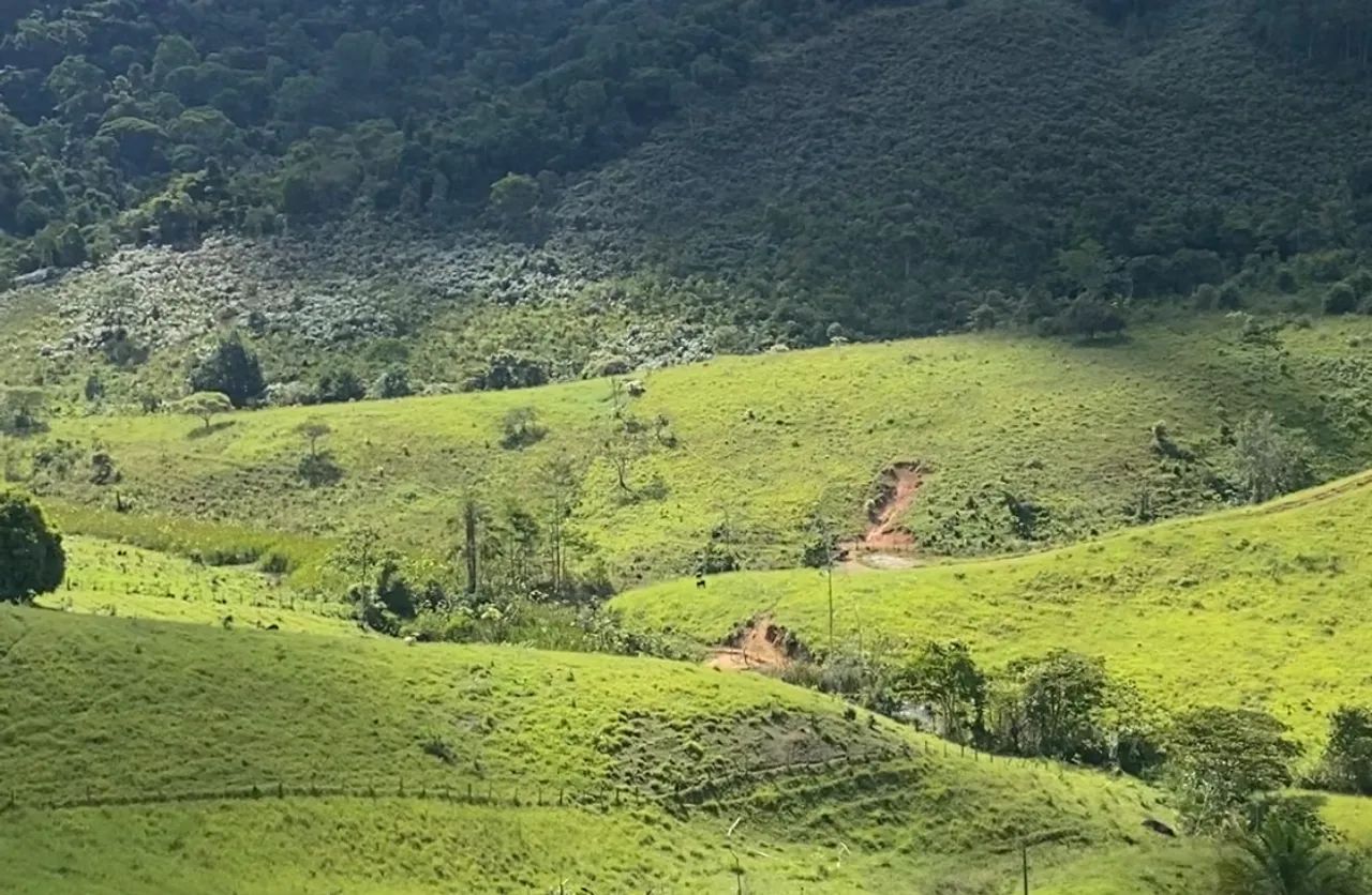 Venda - Foto 5