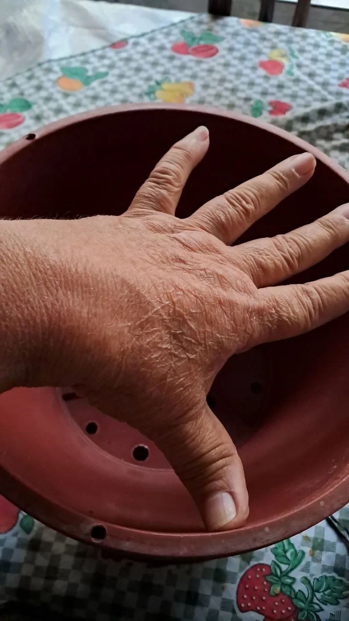 Cuias para plantas  - Foto 2