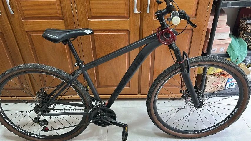 Bicicleta Absolute Aro 29