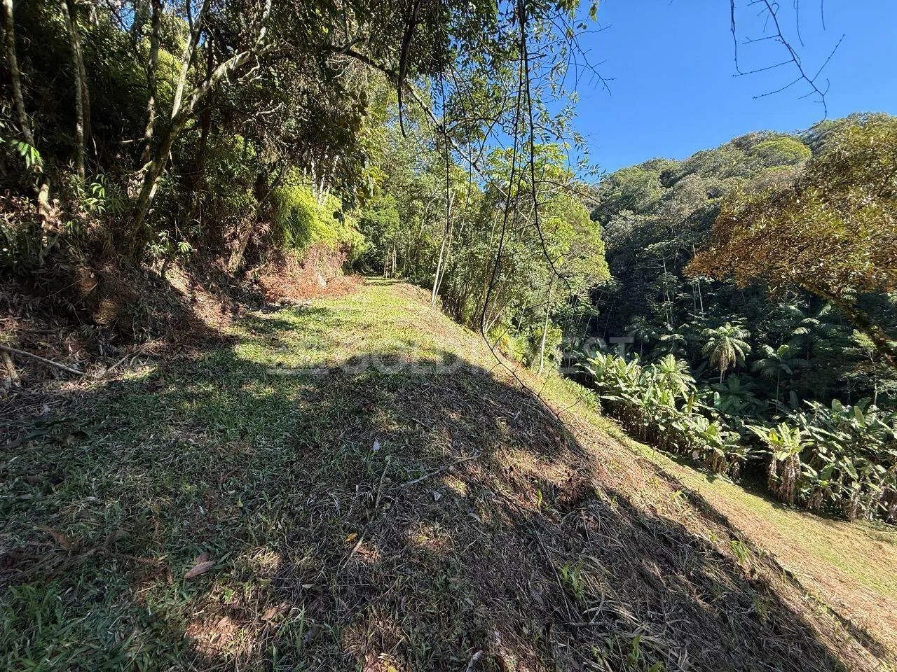 TERRENO PARA SÍTIO EM GUABIRUBA - Foto 3