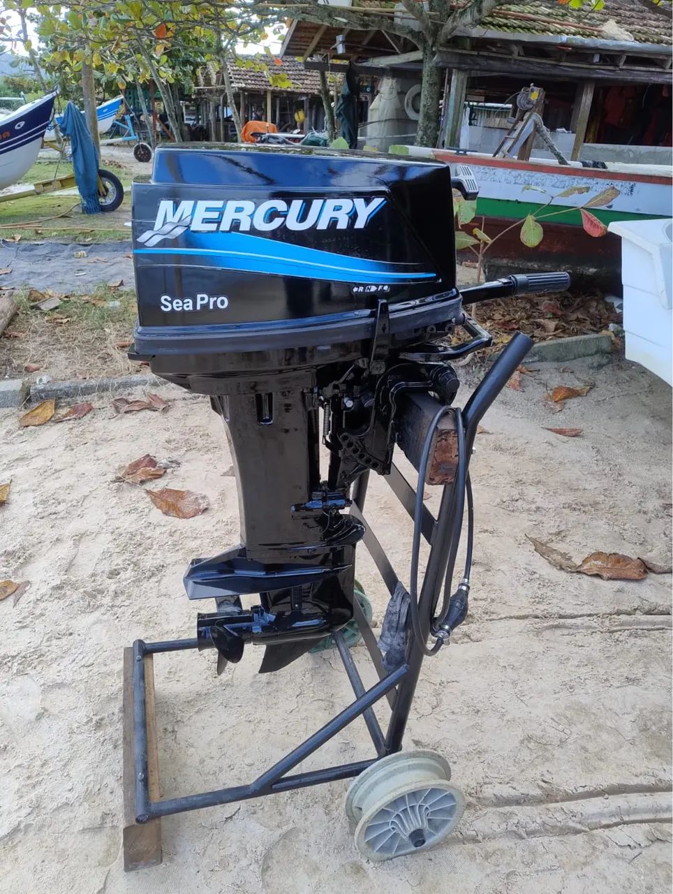 Motor de popa mercury separo 25/30hp