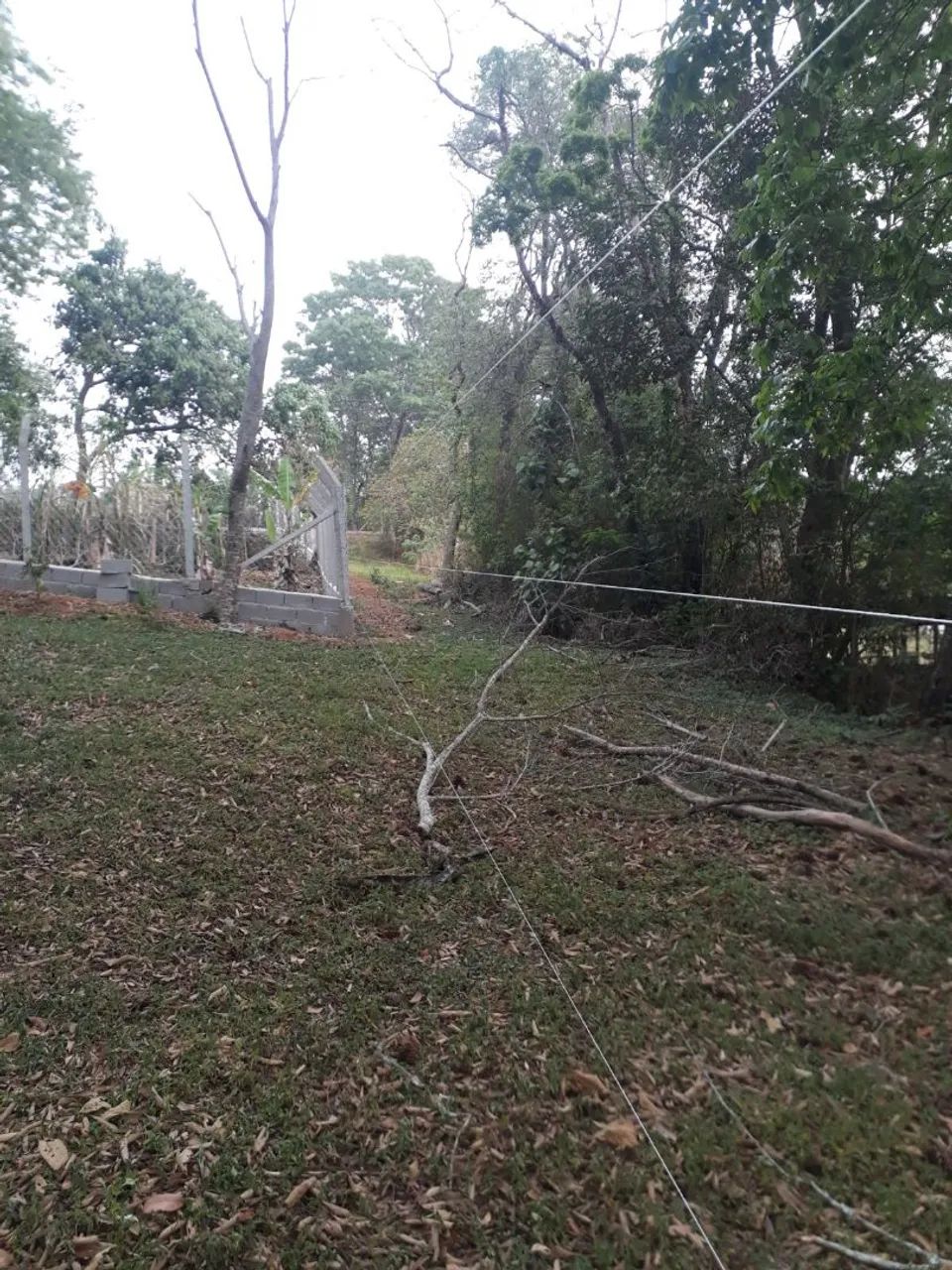 TERRENO NO INTERIOR DE SÃO PAULO - Foto 3