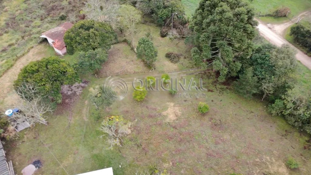 Chacara a venda : - Foto 4