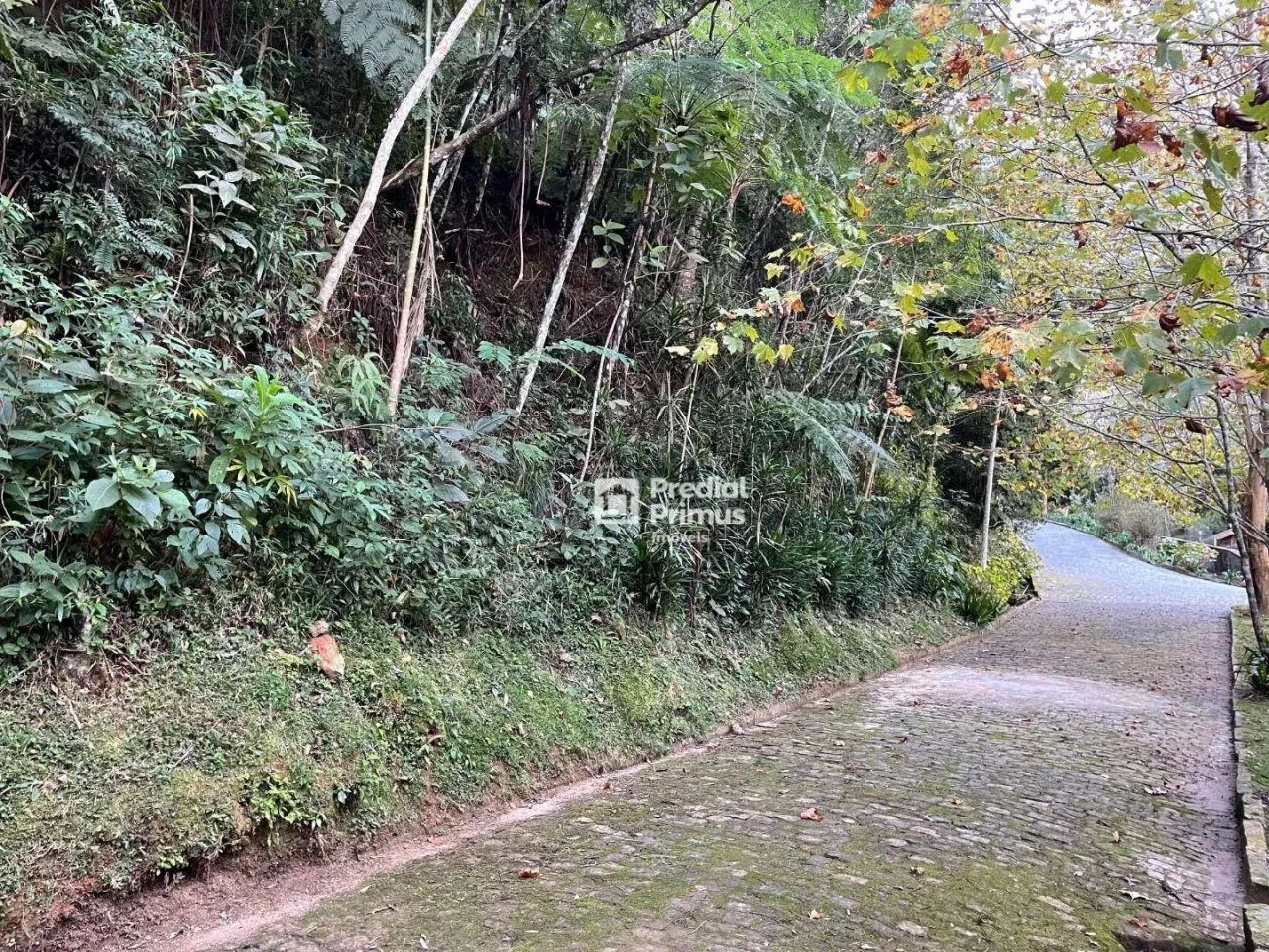 Terreno com RGI , 2345 m² à venda por R$ 350.000 - Mury - Nova Friburgo/RJ - Foto 5
