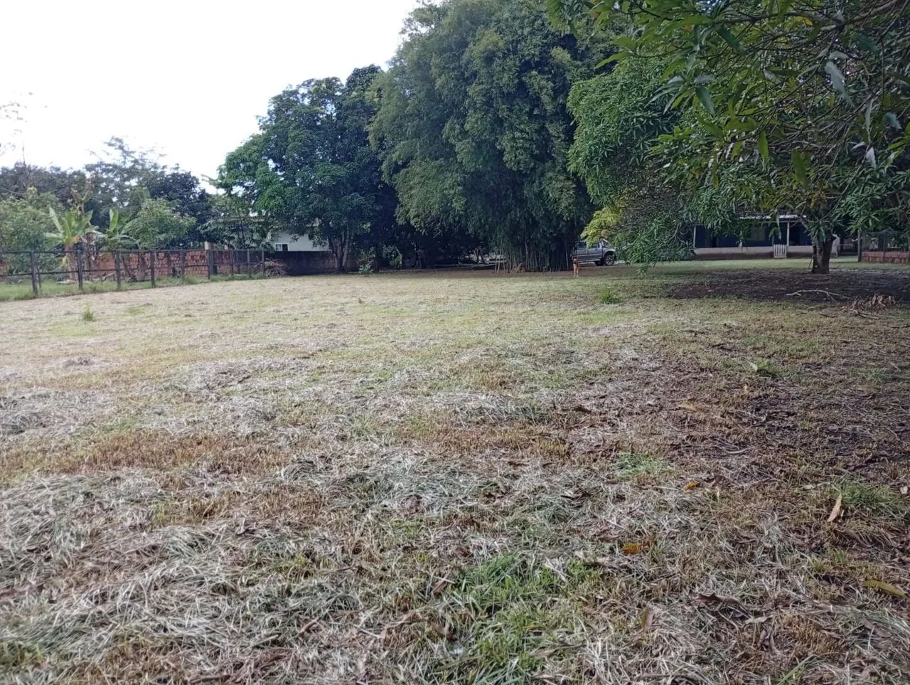 Vendo uma chácara  - Foto 5