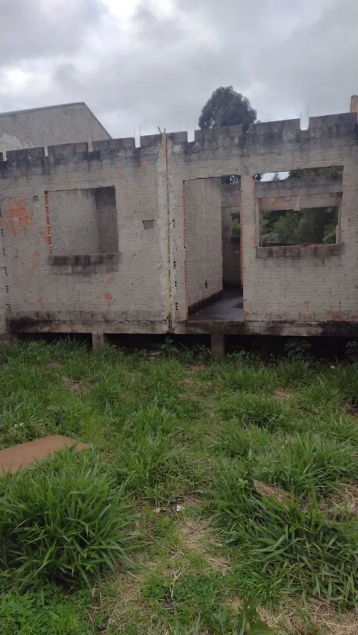 Foto - Ponta Grossa - Cará-cará