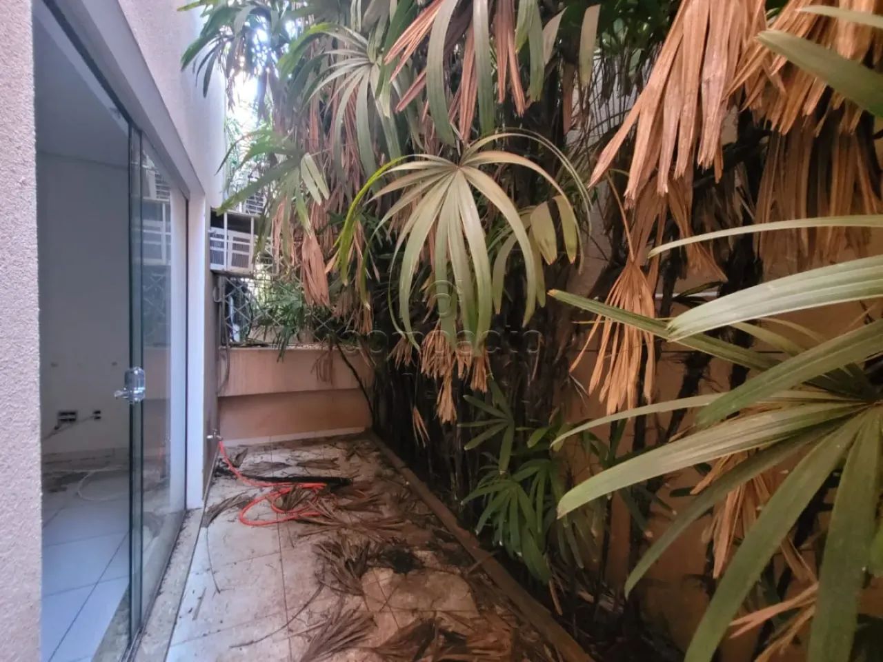 Comercial SalaLoja Condomínio em São José do Rio Preto - Foto 2