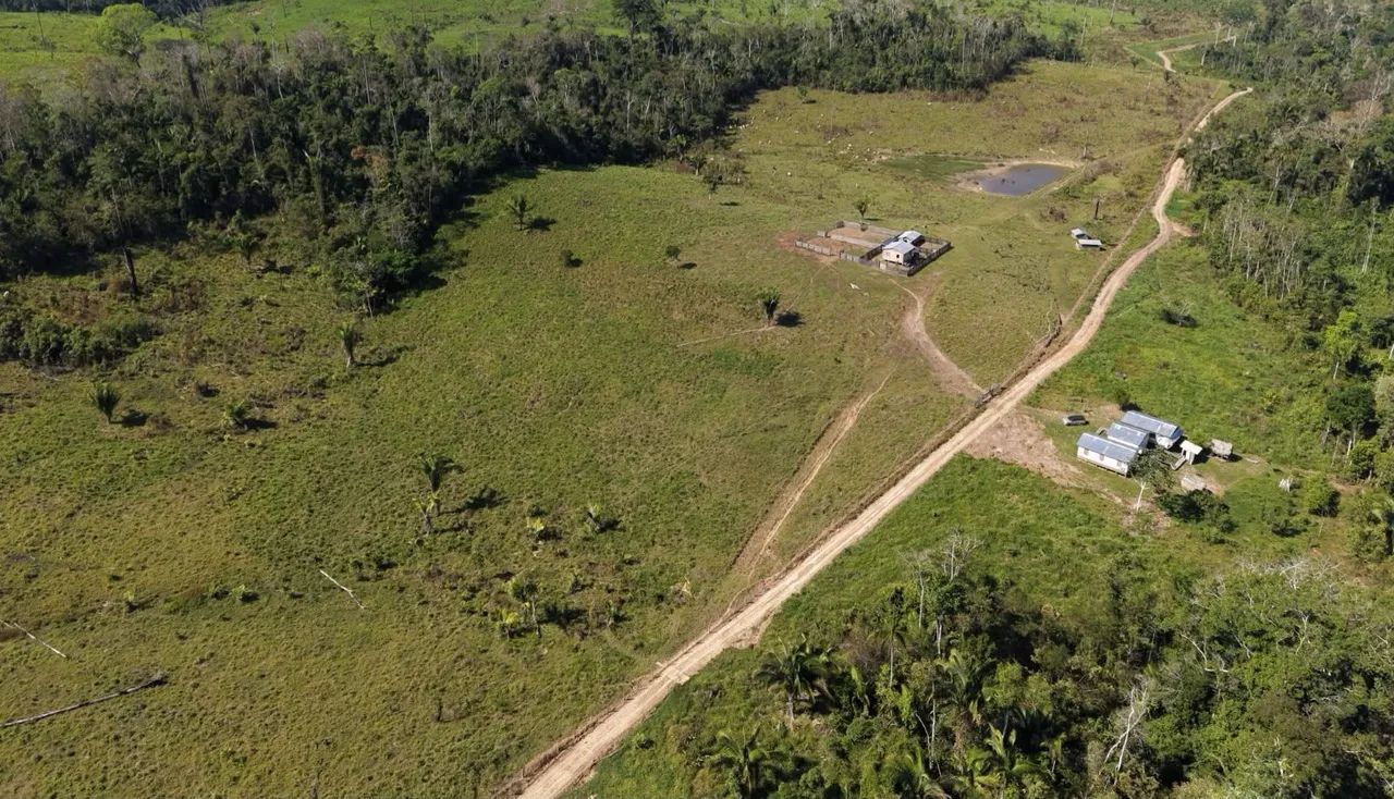 TERRA À VENDA EM FEIJÓ  - Foto 2