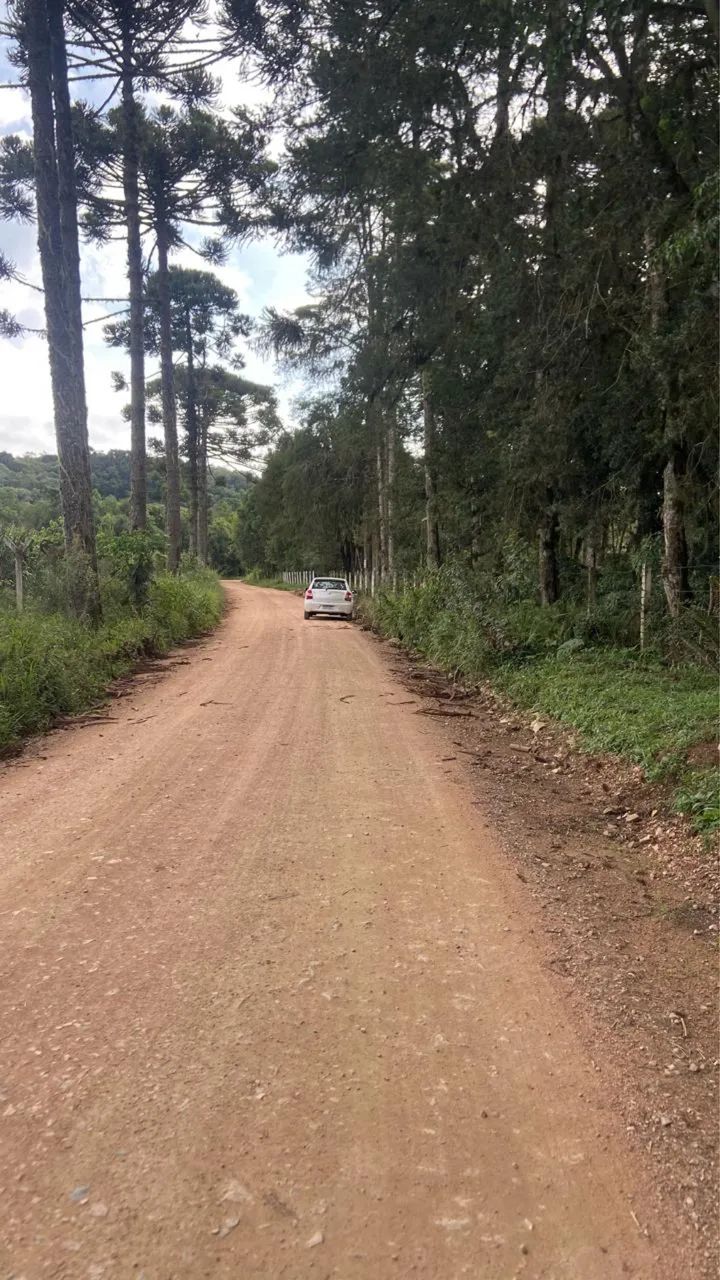 Foto - Mandirituba - 