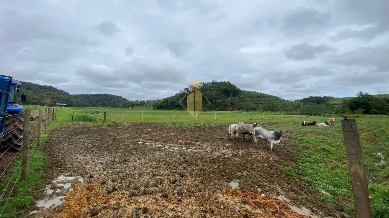 Área para gado em Luiz Alves/SC - Foto 2