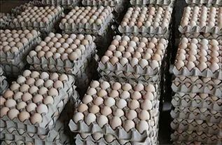 Ovos caipira  - Foto 2