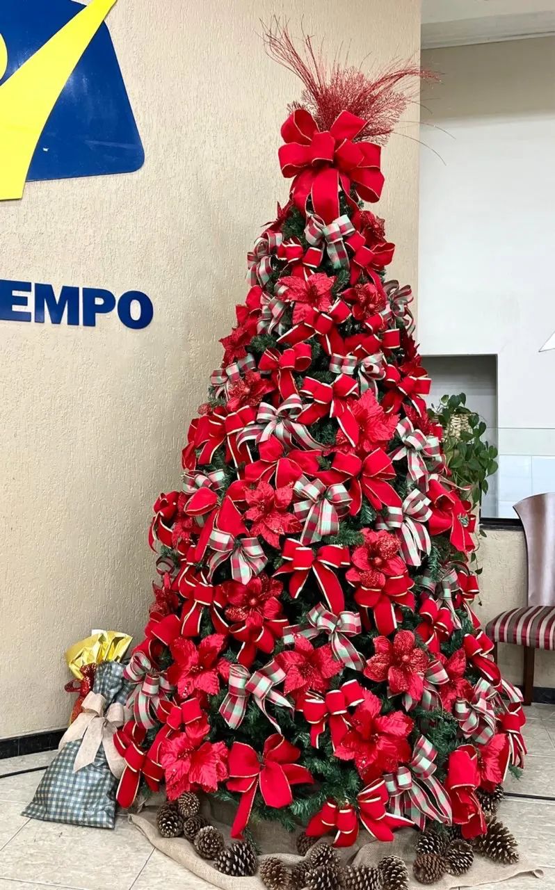 Árvore de Natal - Foto 3