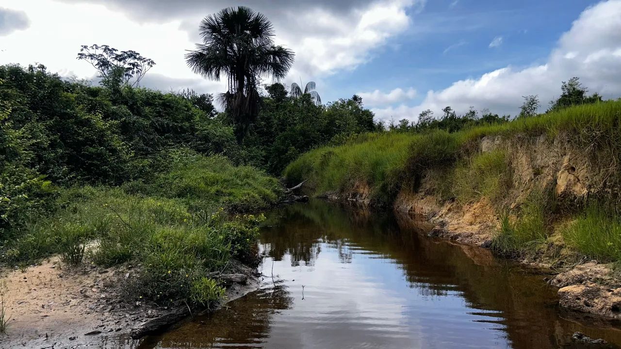 Vende-se  - Foto 2