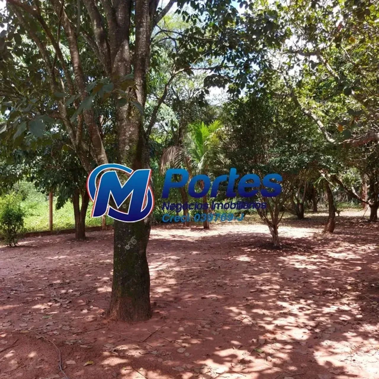 CHÁCARA NOVA ALIANÇA - Foto 3