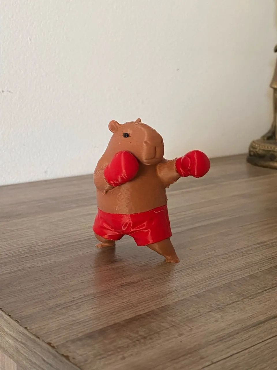 Capivara Boxeadora - Foto 5