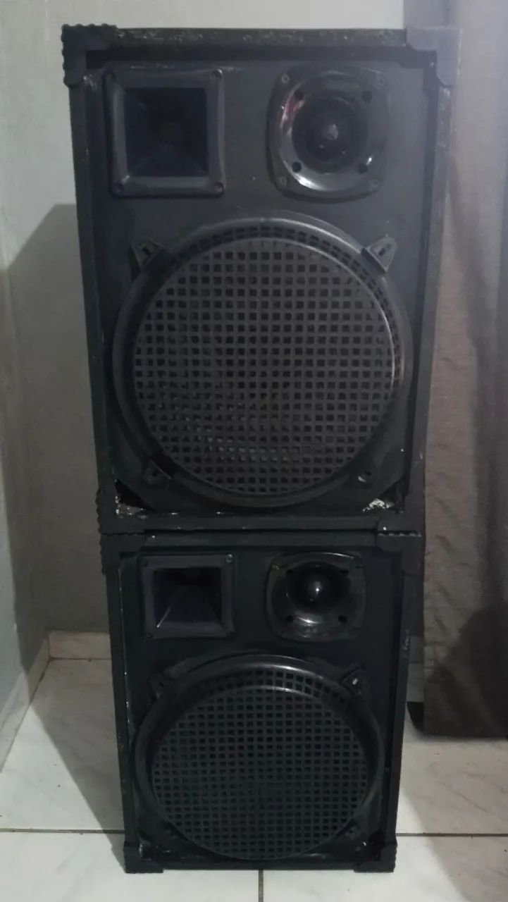 Caixa de som profissional passiva 