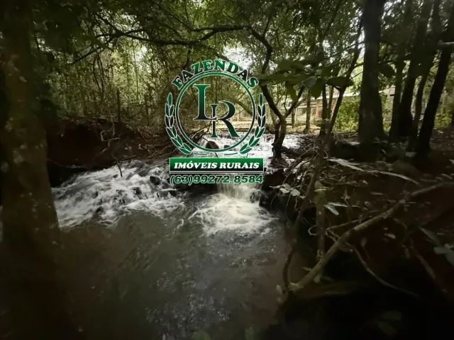 Chácara Região Machado Taquaruçu Grande - Foto 4