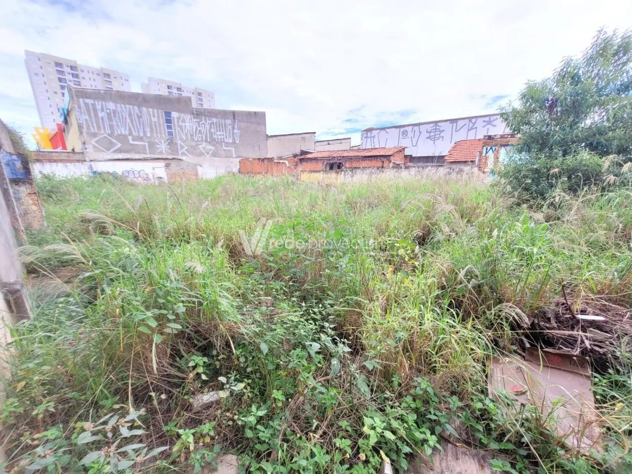 terreno - Jardim Chapadão - Campinas