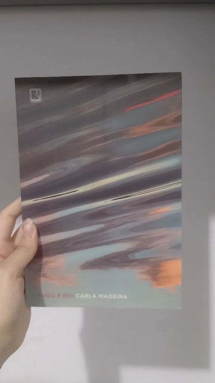 Livro Tudo é rio 