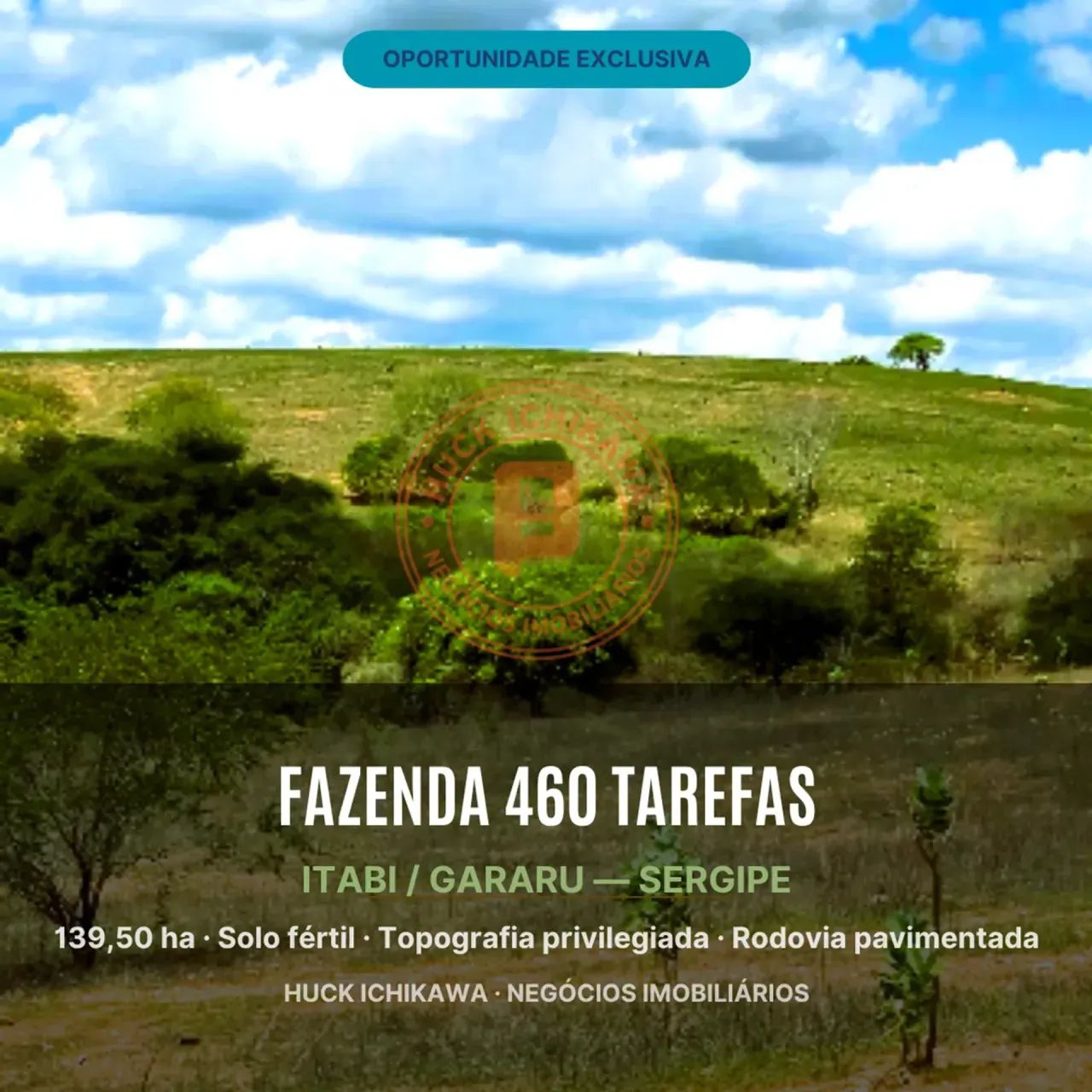 FAZENDA - 460 tarefas - ITABI - Foto 3