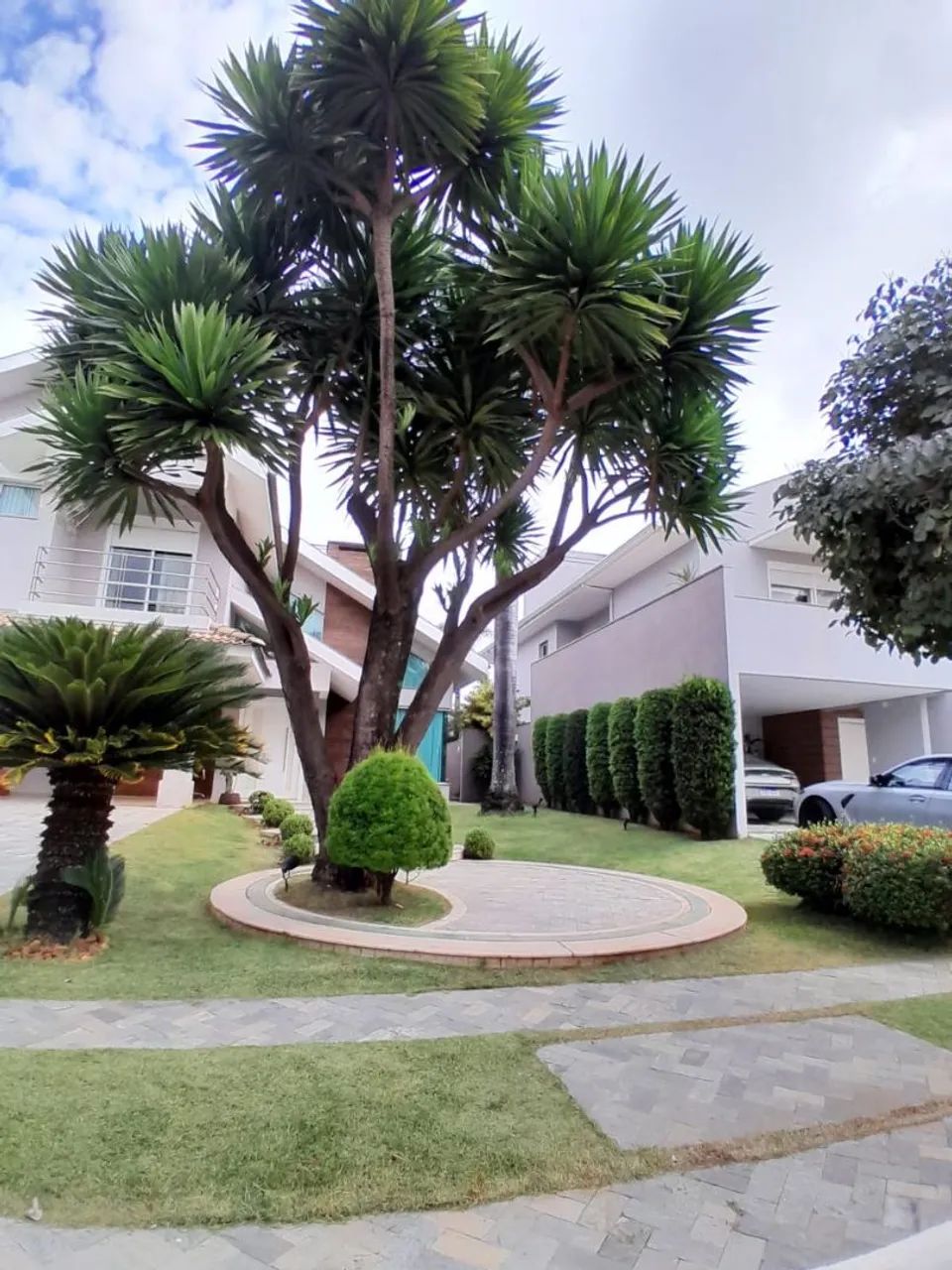 fasso roçada e corte de grama e etc.... - Foto 5