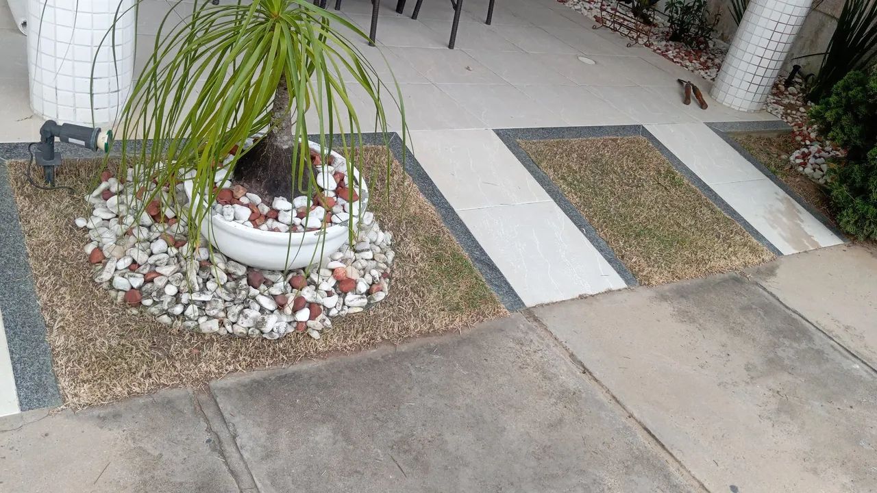 Jardinagem e limpeza de terrenos - Foto 3