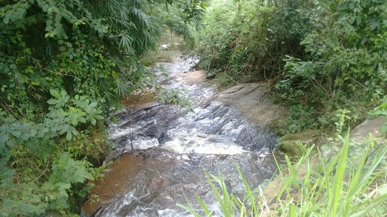 Sitio em Simão Pereira  - Foto 2