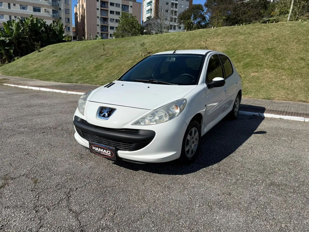 Peugeot 207 XR 1.4 Flex 8V 5P 2010