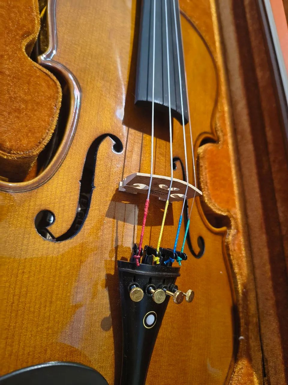 Violino Eagle, montado em ébano, modelo ve441 + Case, Breu e Arco/Ajustado por um Luthier - Foto 4
