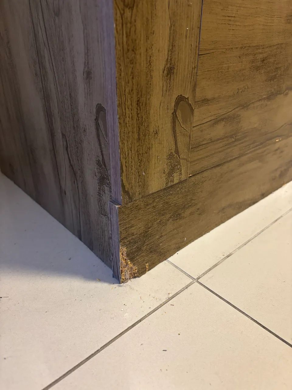 Estante para TV até 60 Polegadas 2 Portas - Foto 4