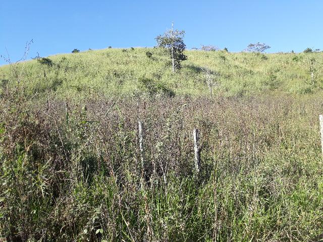 Fazenda com 174 hectares barra de são francisco - Foto 11