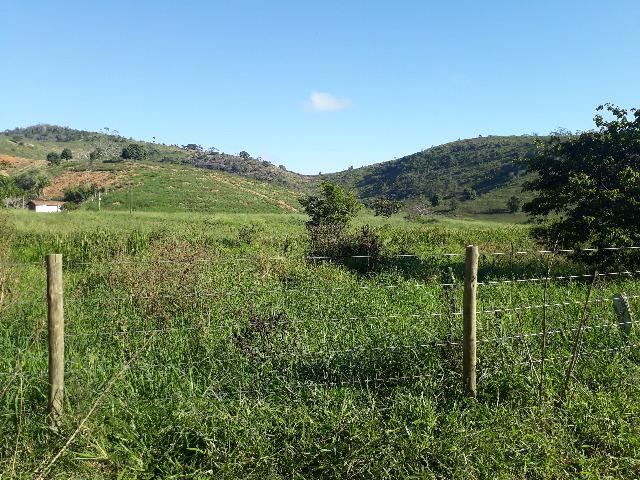 Fazenda com 174 hectares barra de são francisco - Foto 3