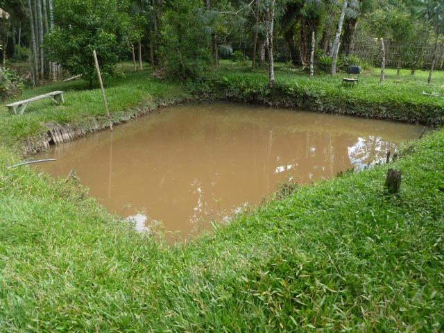 Chácara 3.500 m² Em Juquitiba-SP- Só 114 Mil Reais - Foto 5