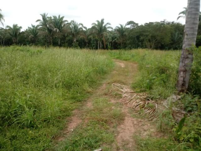Fazenda 333 hectares para Pecuária em Livramento - Foto 8
