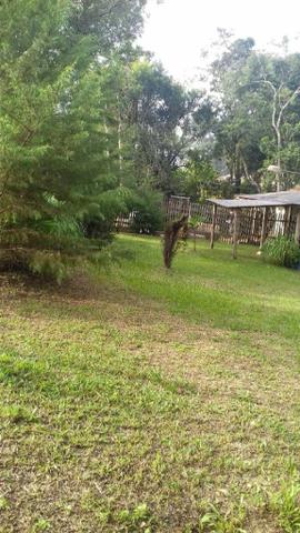 REF ? 2404 - Chácara com 2,400 m² localizada no capinzal com 3 nascente - Foto 6