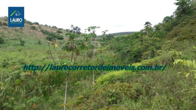 Terra com 8 alqueires a 13 km de T. Otoni - Foto 12