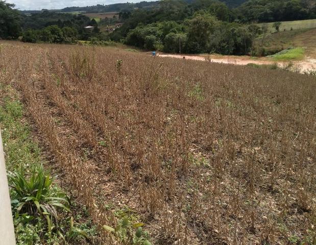 REF 2407 - Chácara com 3.000m² - Excelente formar chácara Serrinha - Contenda/PR - Foto 15